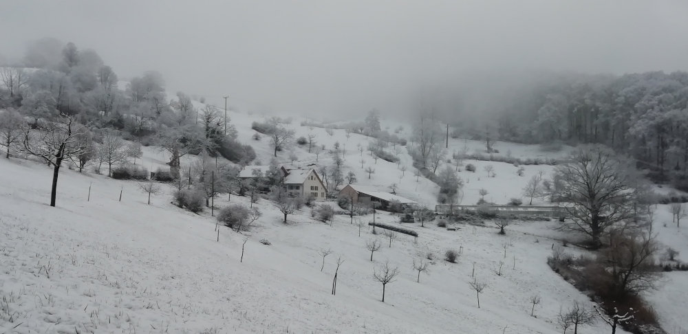 Tognethof im Winter