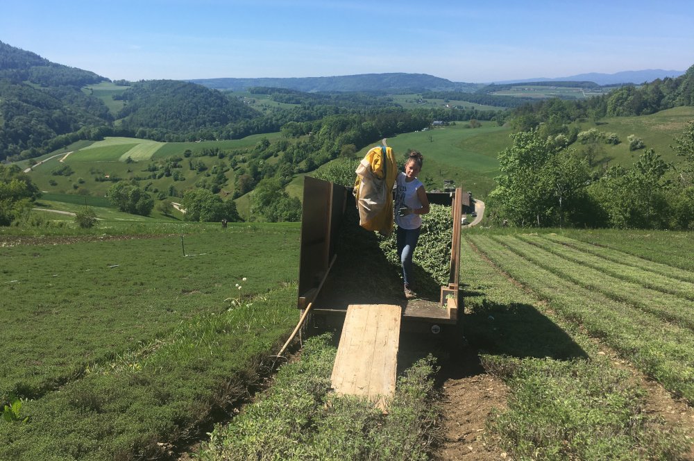 Kreauter Transport